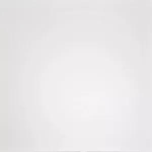 Керамогранит Домино (Domino) 600*600 белый G-100/MR — фото и характеристики