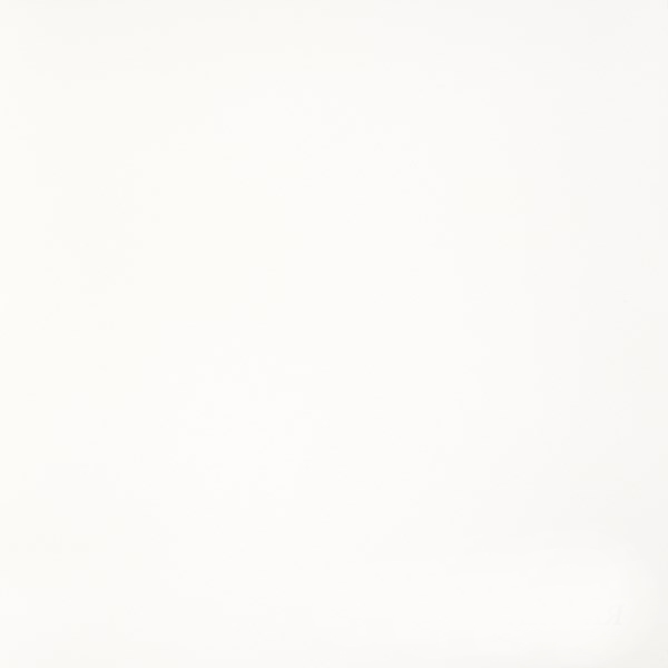 Керамогранит "Грани Таганая" Feeria (600*600 мм) Белый GTF400 — купить в Ярославле