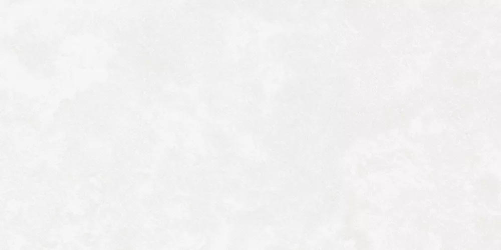 Керамогранит Central Park (Централ Парк) 600*1200 белый K-701/MR — купить в Ярославле