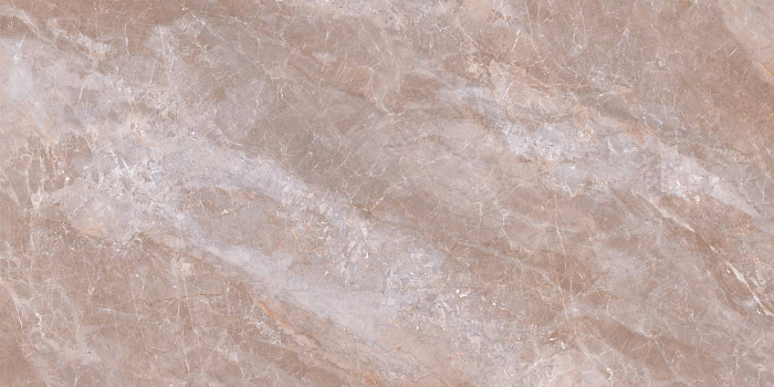 Керамогранит "Wan Sheng" Butterfly (1200*600 мм) Коричневый — купить в Ярославле