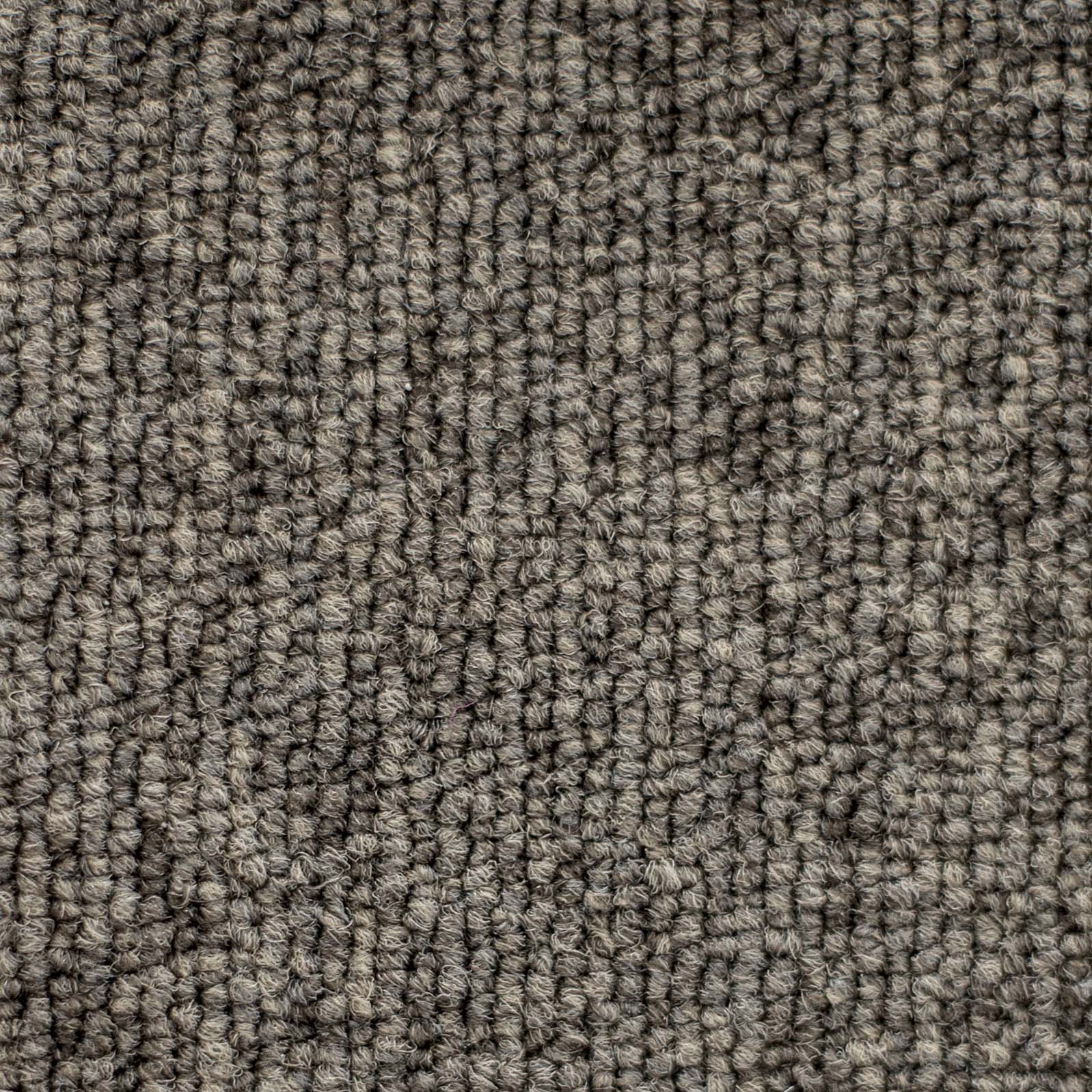 Ковролин "Зартекс" Daily 68 коричневый (4м) — купить в Ярославле