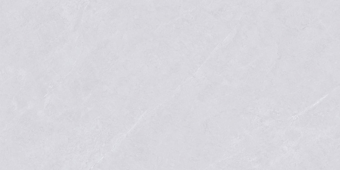 Керамогранит "Wan Sheng" Glazed (1200*600 мм) Серый D12620 — купить в Ярославле