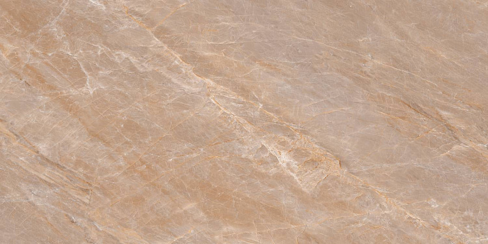 Керамогранит "Wan Sheng" Lande (1200*600 мм) Коричневый — купить в Ярославле