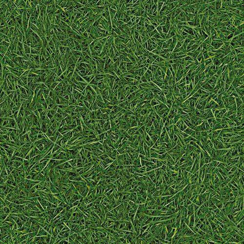 Линолеум бытовой "IVC" Neo Grass 25 (3м) — купить в Ярославле
