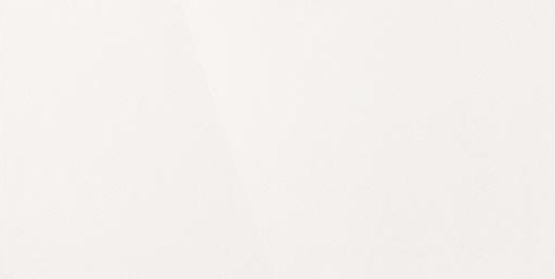 Керамогранит "Уральский Гранит" Палитра (1200*600 мм) Белый UF001PR — купить в Ярославле