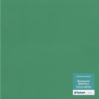 Изображение Спортивный линолеум "Tarkett" Omnisports R65 Fieldgreen (2 м) Картинка Спортивный линолеум "Tarkett" Omnisports R65 Fieldgreen (2 м)