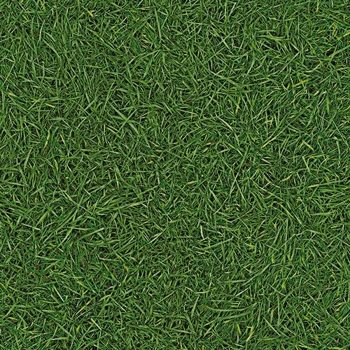 Линолеум бытовой "IVC" Bingo Grass 25 (3м) — купить в Ярославле