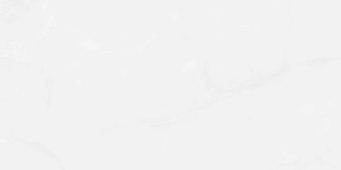 Керамогранит "Wan Sheng" Glazed (1200*600 мм) Серый D12617 — купить в Ярославле