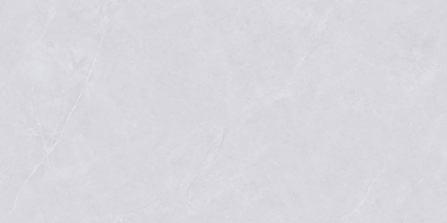 Керамогранит "Wan Sheng" Glazed (1200*600 мм) Серый D12620 — купить в Ярославле