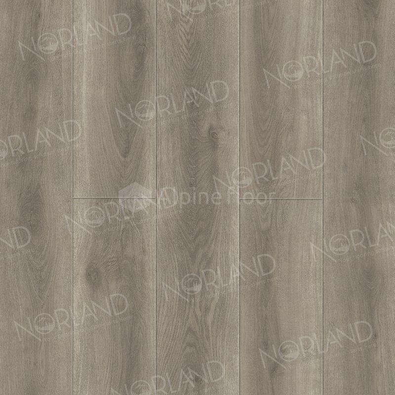 SPC Ламинат "Norland" Templet (1220*196*8 мм) — купить в Ярославле