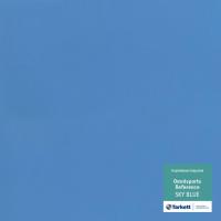 Изображение Спортивный линолеум "Tarkett" Omnisports R65 Skyblue (2 м) Картинка Спортивный линолеум "Tarkett" Omnisports R65 Skyblue (2 м)