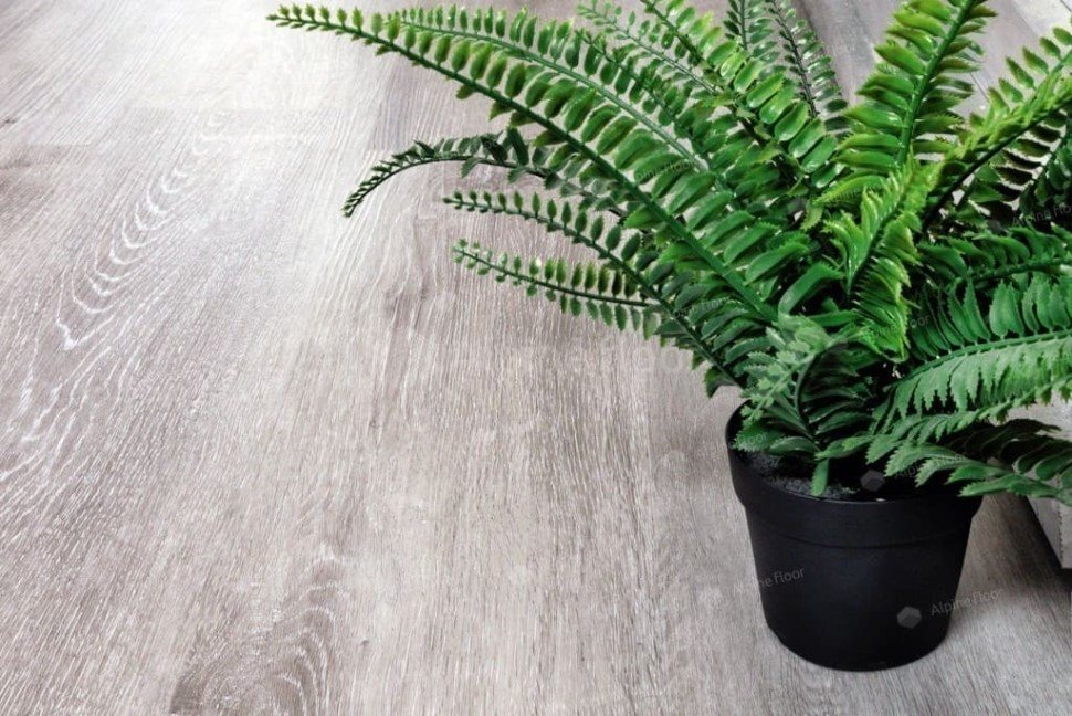 Виниловый ламинат "Alpine Floor" Classic Light MC Ясень Серый (1220*183*3,5 мм) — купить в Ярославле