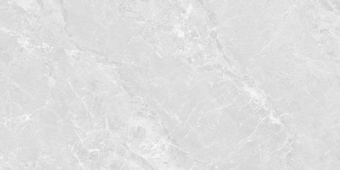 Керамогранит "Wan Sheng" Butterfly (1200*600 мм) Серый — купить в Ярославле